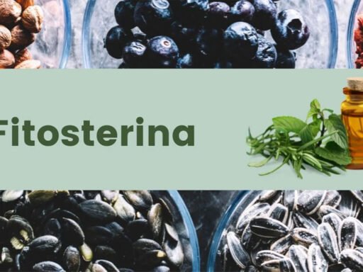 Guideline-to-Choosing-the-Right-Fitosterina
