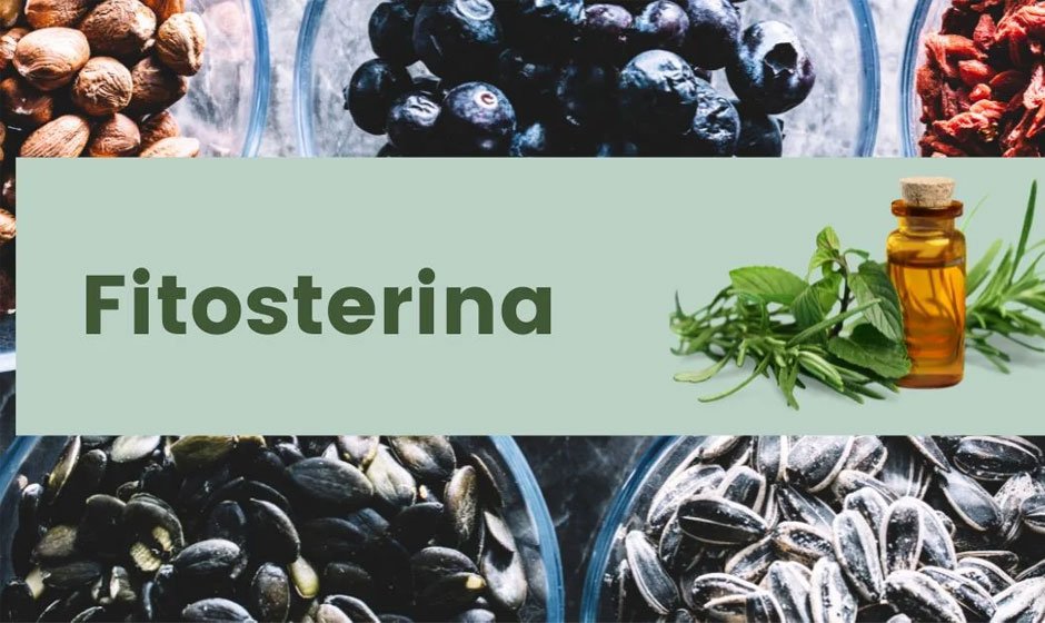 Guideline-to-Choosing-the-Right-Fitosterina