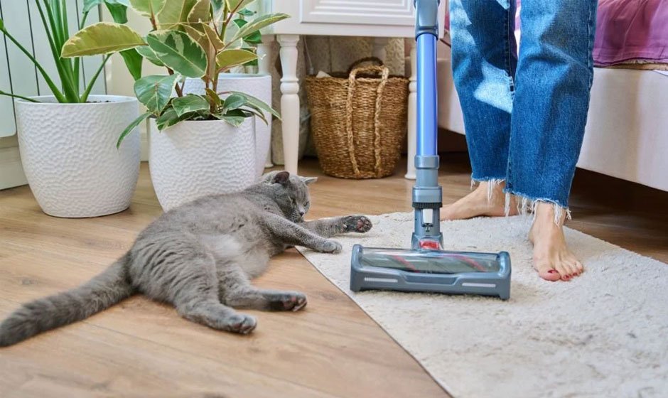 From wine to whining pets - keeping your carpet clean in all scenarios