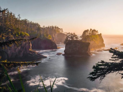 Reasons Why You Should Visit Washington State