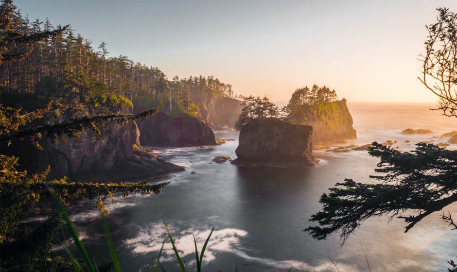 Reasons Why You Should Visit Washington State