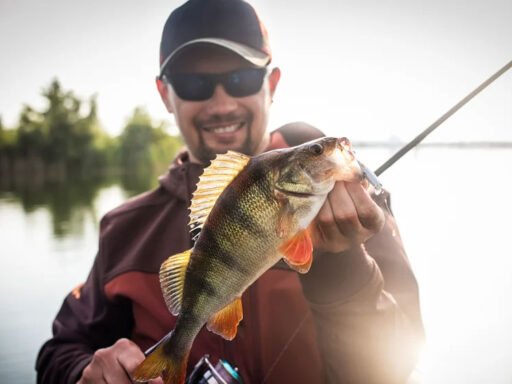 Top 4 Fishing Gears to Scale Your Fishing Capabilities