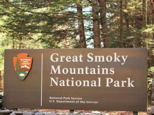 Top Amenities to Look for When Choosing a Campground in the Smokies