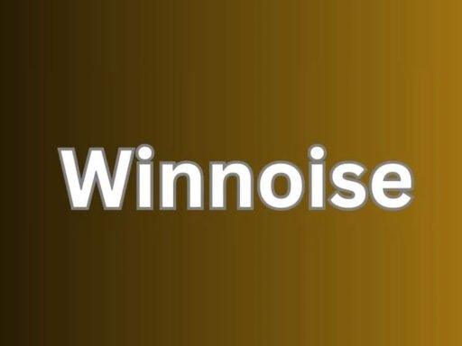 Winnoise