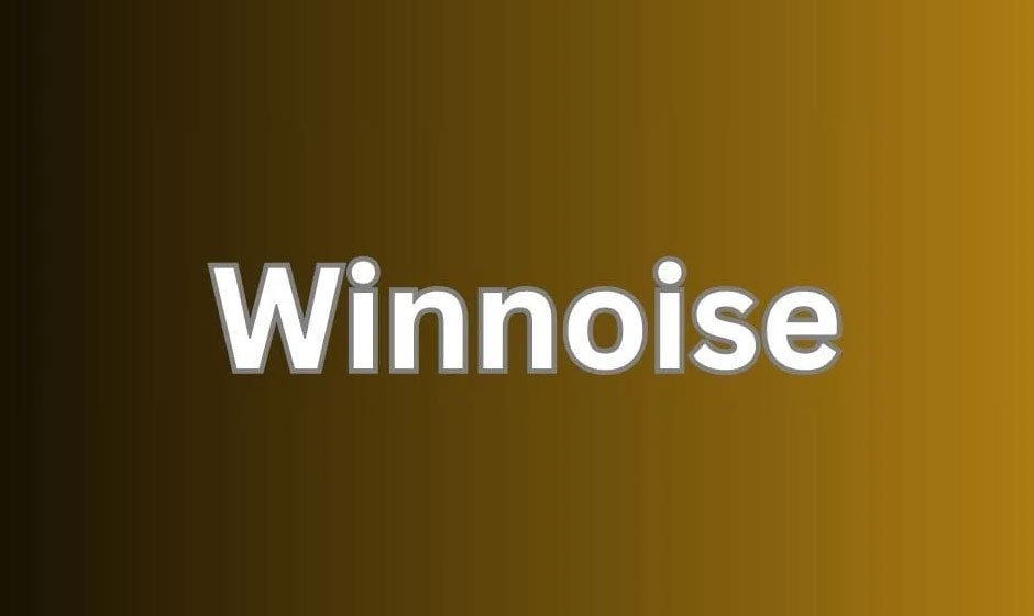 Winnoise