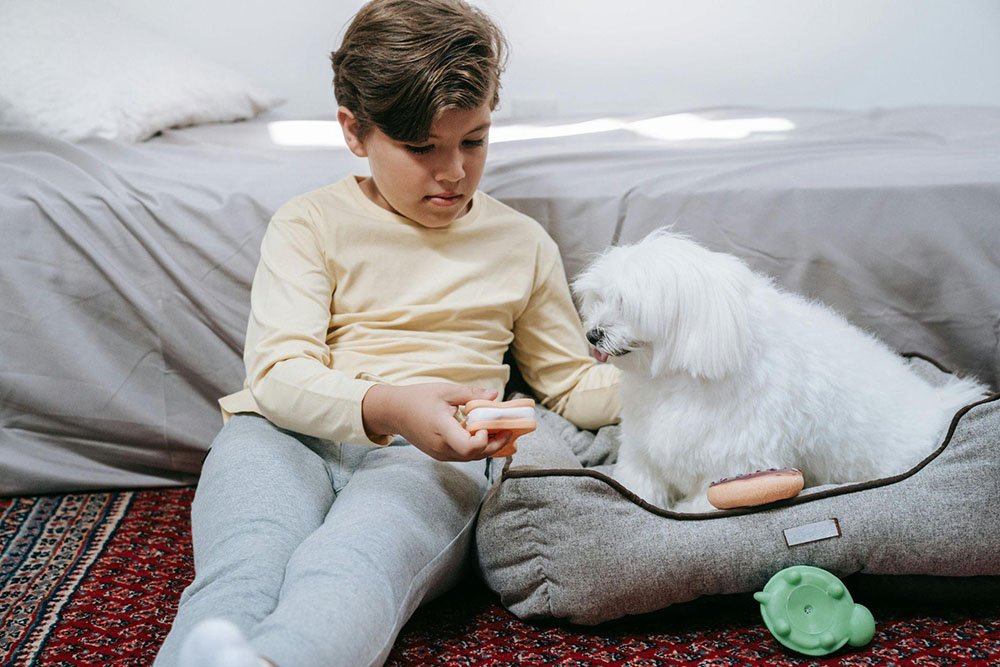 Brain-Stimulating Toys for Dogs