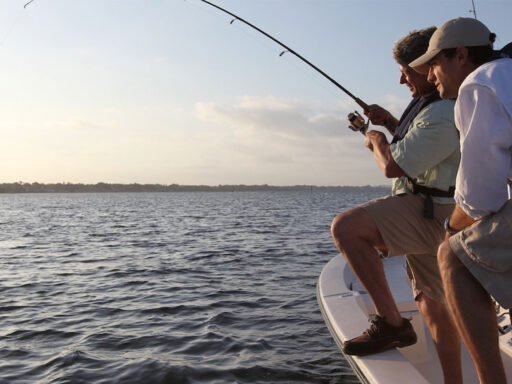 How to Pick the Best Fishing Charters for Your Next Trip