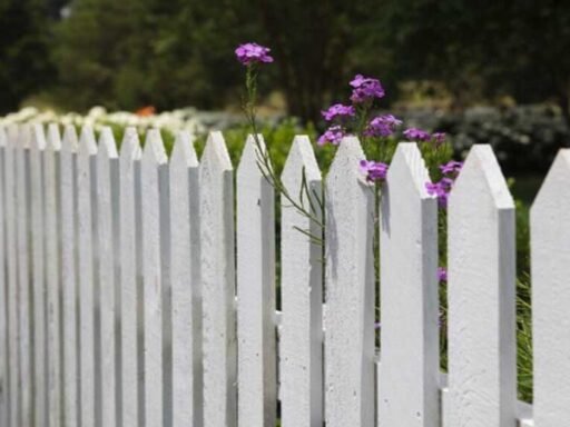 How to Choose the Right Fence Gate Design for Your Home