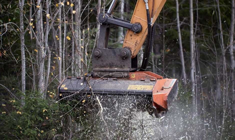 The Benefits and Techniques of Forestry Mulching for Land Management