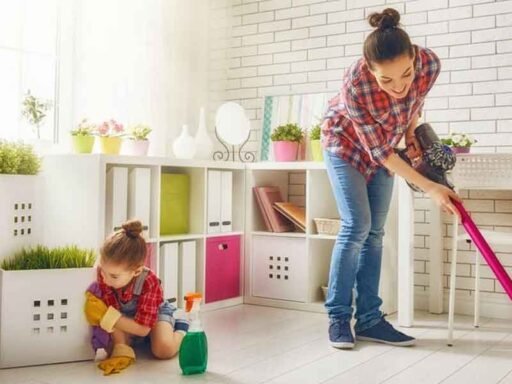 Maintaining a Clean and Healthy Home Environment